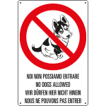 Palermo - Escrementi Di Cane In Città, Potenza: "Palermo Prenda Esempio - Foto 5